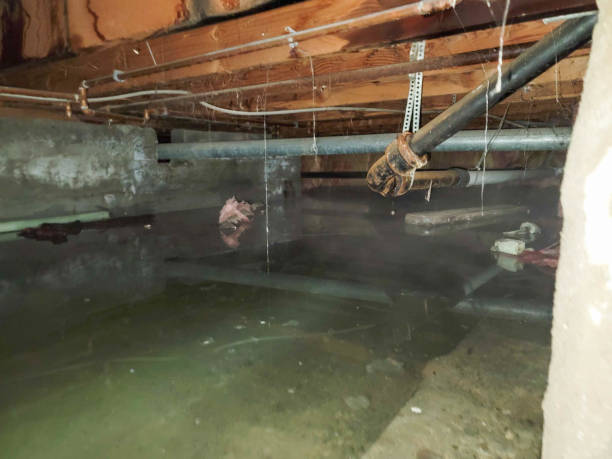 Best Commercial water damage restoration  in Haysville, KS