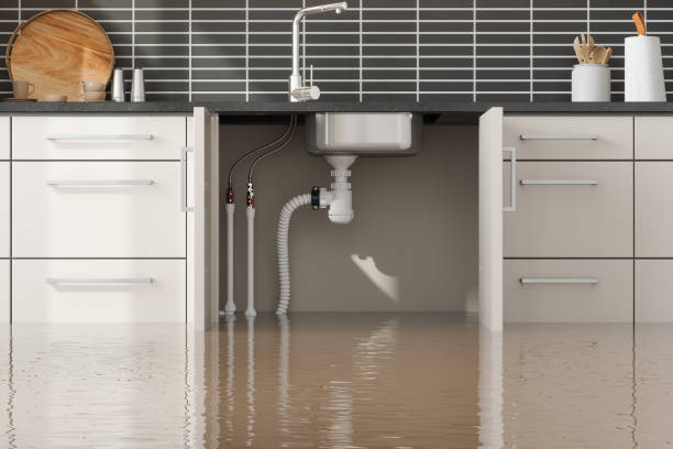 Best Water damage cleanup near me  in Haysville, KS
